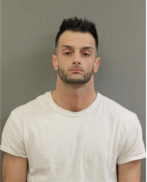 DANIEL M GAERTNER, Cook County, Illinois