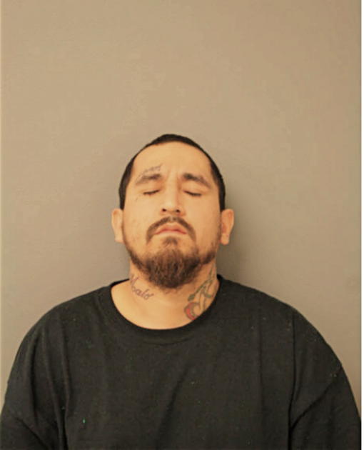 HECTOR GONZALEZ, Cook County, Illinois