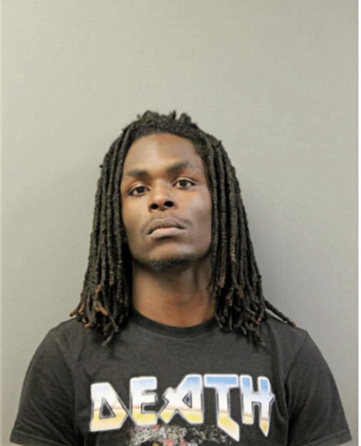 TERRANCE M GREEN, Cook County, Illinois