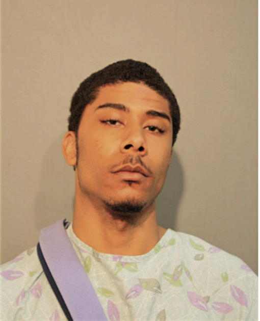 JAMES N HEARD, Cook County, Illinois