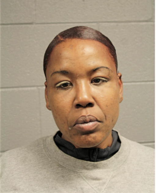 JOY L JOHNSON, Cook County, Illinois