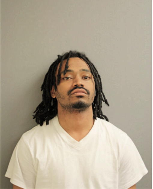 ANTHONY D LANE, Cook County, Illinois