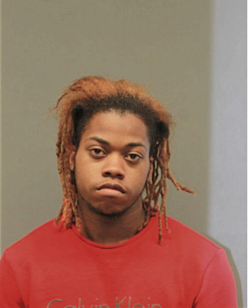 JORDAN R LEWIS, Cook County, Illinois