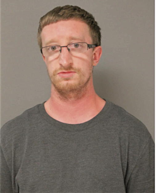 ANDREW D LYONS, Cook County, Illinois