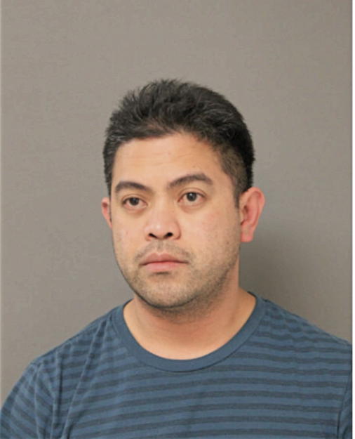 RONEL D MADARIAGA, Cook County, Illinois