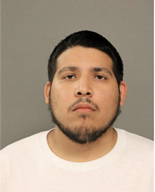 REYNALDO A MARTINEZ, Cook County, Illinois