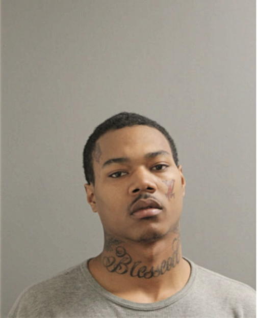 FRANK L MEEKS, Cook County, Illinois
