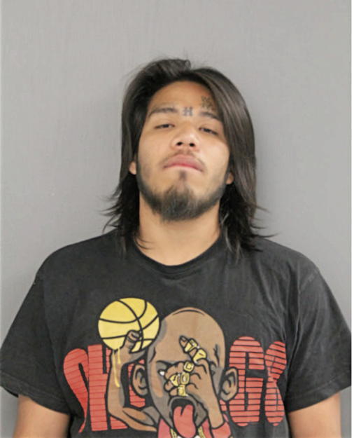 ANTHONY MENDOZA, Cook County, Illinois