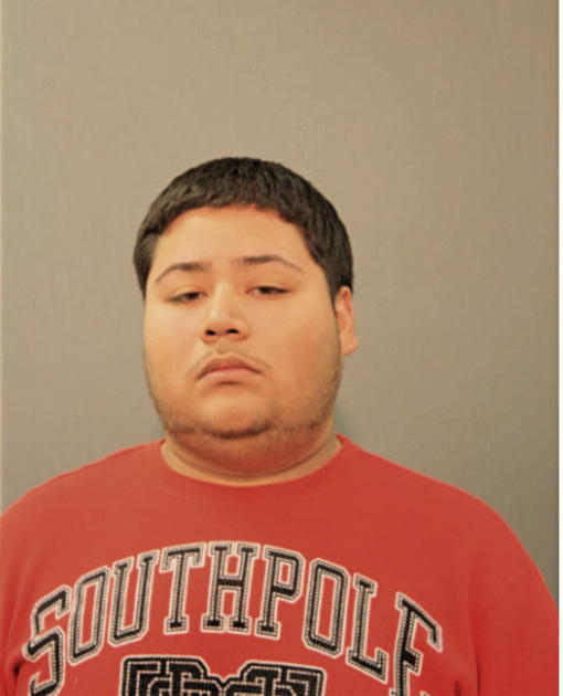 JOSE A NEVAREZ, Cook County, Illinois