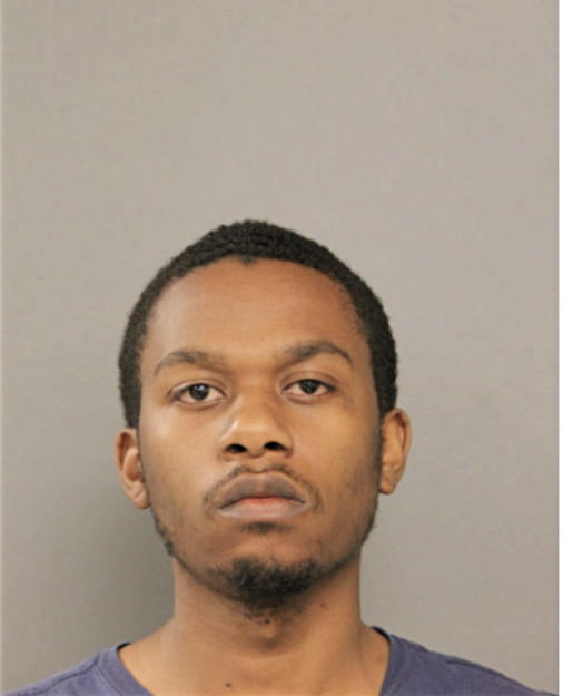 BRYCE L NOBLE, Cook County, Illinois