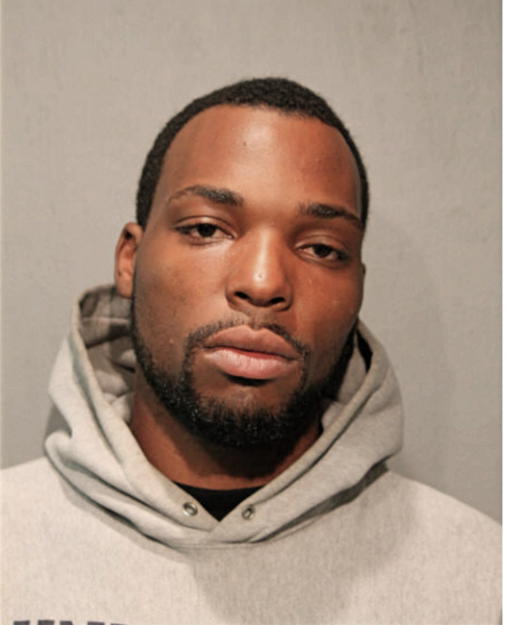 RYAN D RODGERS, Cook County, Illinois