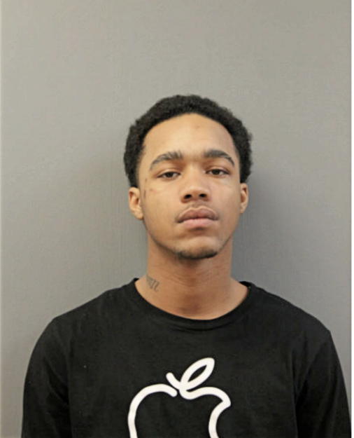 LOUIS D VALE, Cook County, Illinois