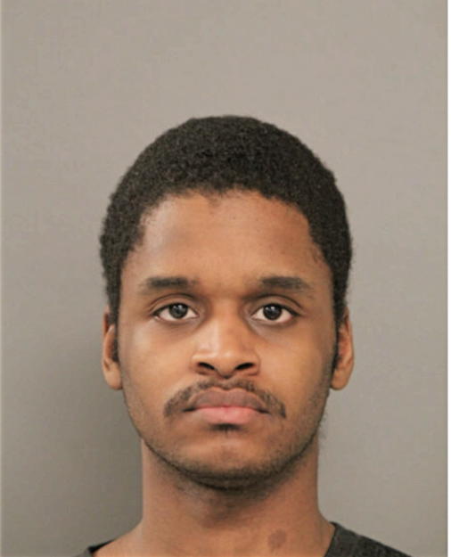 MARCUS L ALLEN, Cook County, Illinois