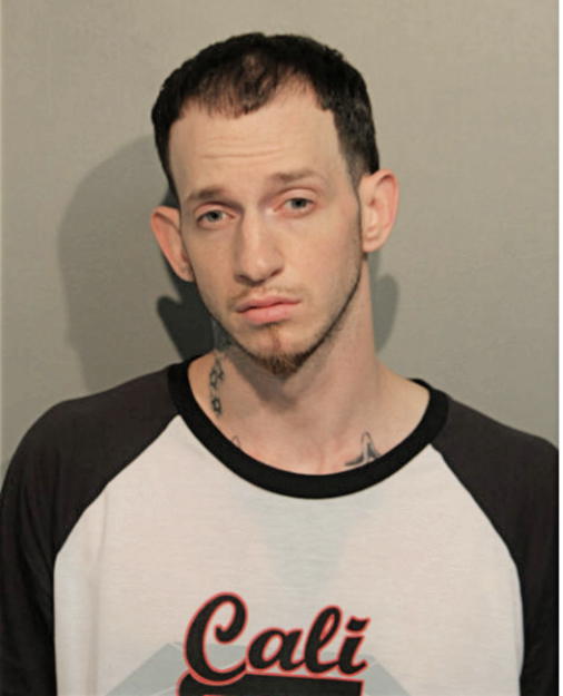 NICHOLAS P AMATO, Cook County, Illinois
