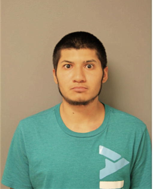 DAVID CARRILLO ARIAS, Cook County, Illinois