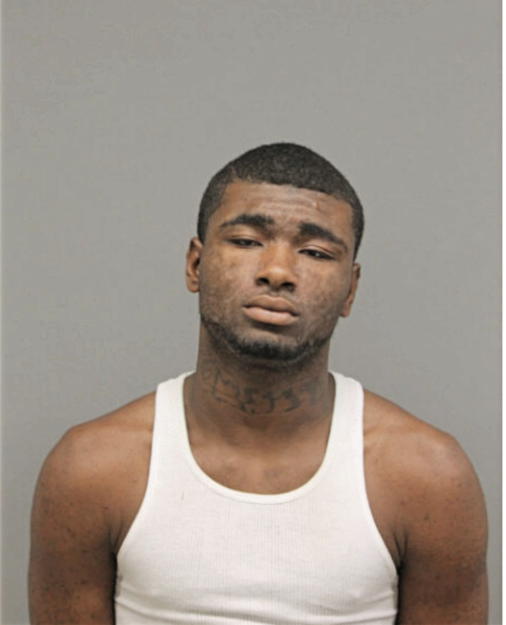 JERMAINE J BROWN, Cook County, Illinois