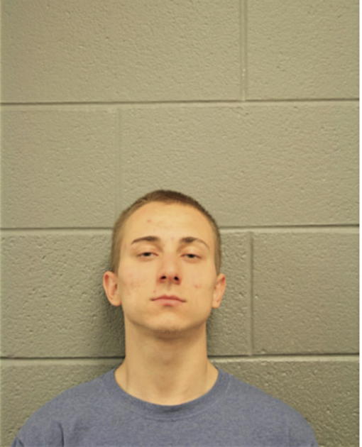 NIKOLA CEVIZOVIC, Cook County, Illinois