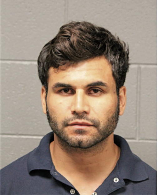 CHRISTIAN A CONSTANTE, Cook County, Illinois