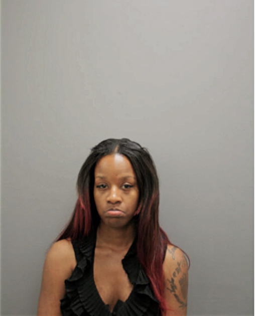 KAREN R DANDRIDGE, Cook County, Illinois