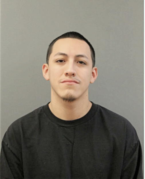 JESSE E FLORES, Cook County, Illinois