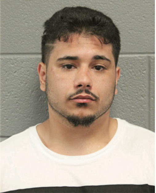 MICHAEL A GEIGEL, Cook County, Illinois