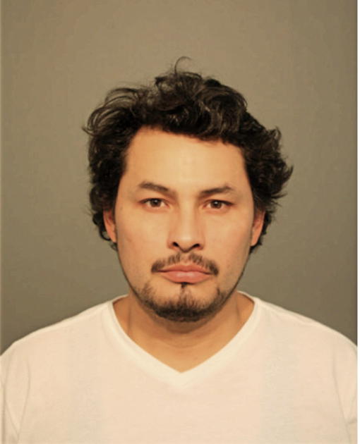 LUIS A HERNANDEZ, Cook County, Illinois