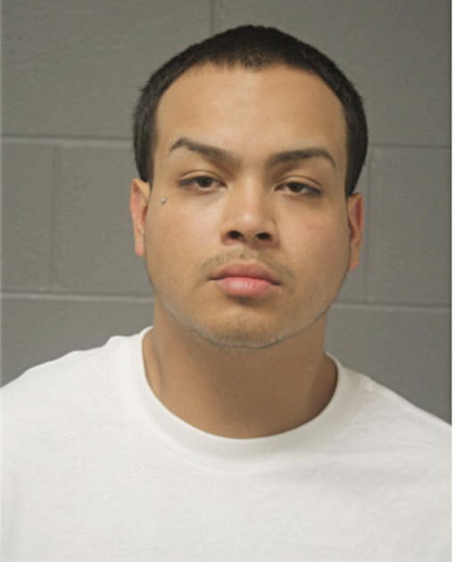 ALFREDO HERRERA, Cook County, Illinois