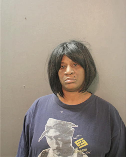 JOYCE A HOLLIND, Cook County, Illinois