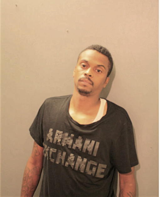 MICHAEL T JONES, Cook County, Illinois