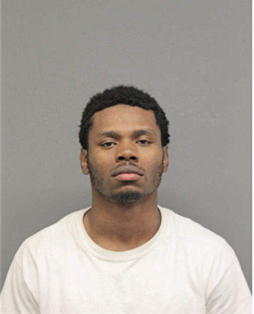 DERICK D LEWIS, Cook County, Illinois