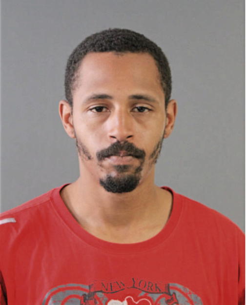 BRANDON J MCCALEBB, Cook County, Illinois