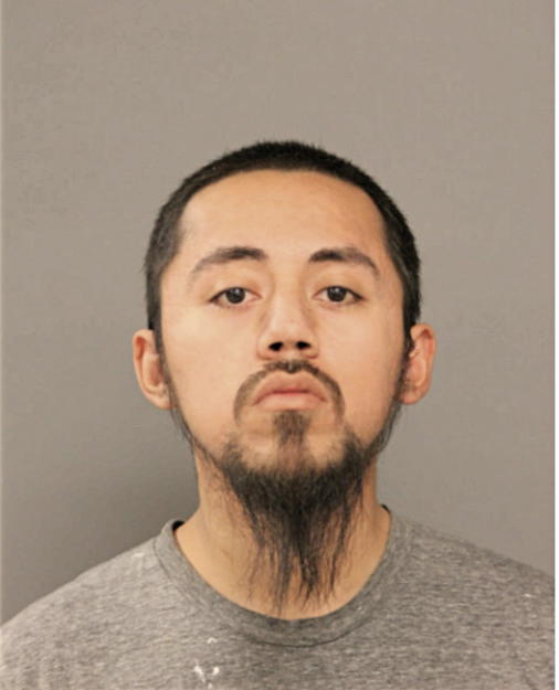 BERNARDO MENDOZA, Cook County, Illinois