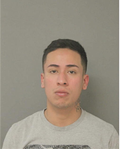 LUIS MENESES, Cook County, Illinois