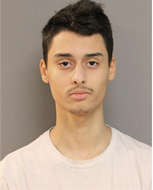 EMERSON G MOLINA, Cook County, Illinois