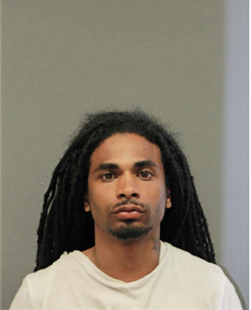 LEN W MOSES JR, Cook County, Illinois