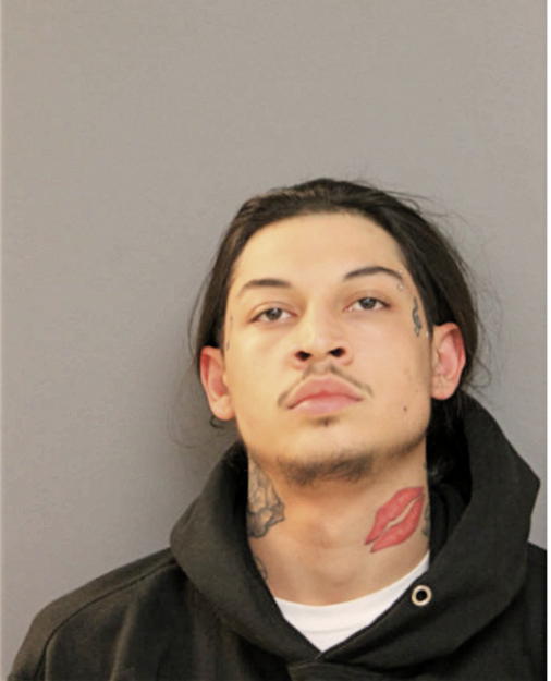 ALEJANDO MOSIES MOSQUEDA, Cook County, Illinois