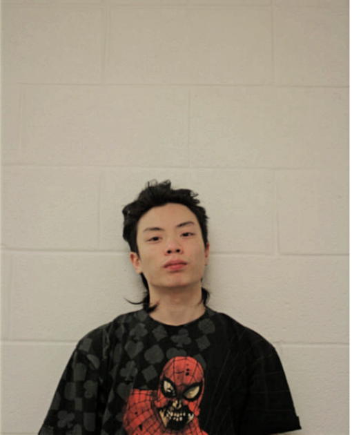 KEITH NGUYEN, Cook County, Illinois