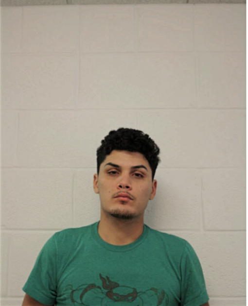 ALEX J RAYMUNDO, Cook County, Illinois