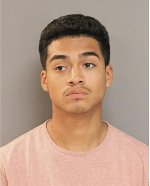 FREDI BASTIDA REYES, Cook County, Illinois