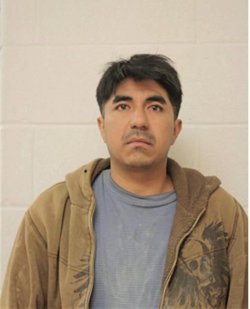 JAIME TENESACA, Cook County, Illinois
