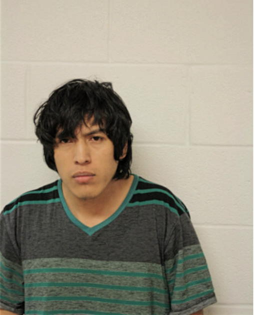 DIONICO TENEZACA, Cook County, Illinois