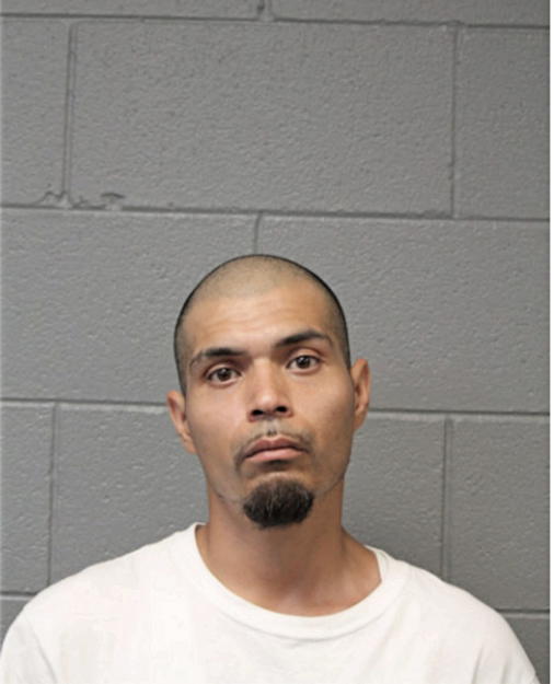 MICHAEL TREVINO, Cook County, Illinois