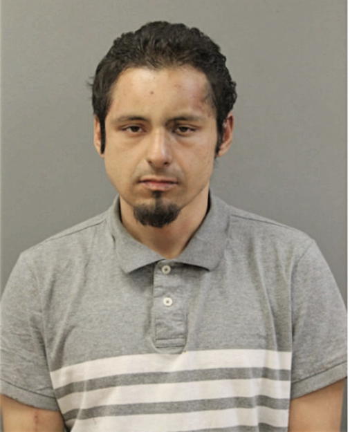 FRANCISCO JAVIER VEGA, Cook County, Illinois