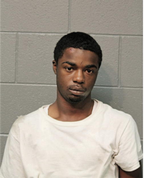TERRY J BREWER, Cook County, Illinois