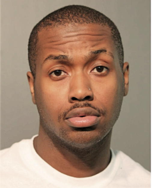 DAVID A DAVIS, Cook County, Illinois