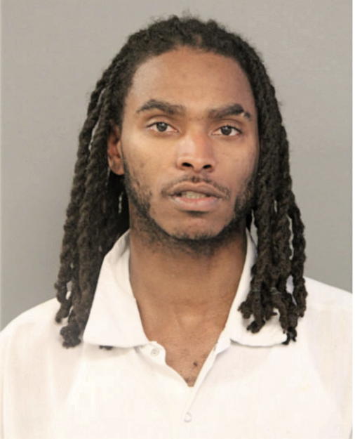 MICHAEL A FLAGG, Cook County, Illinois
