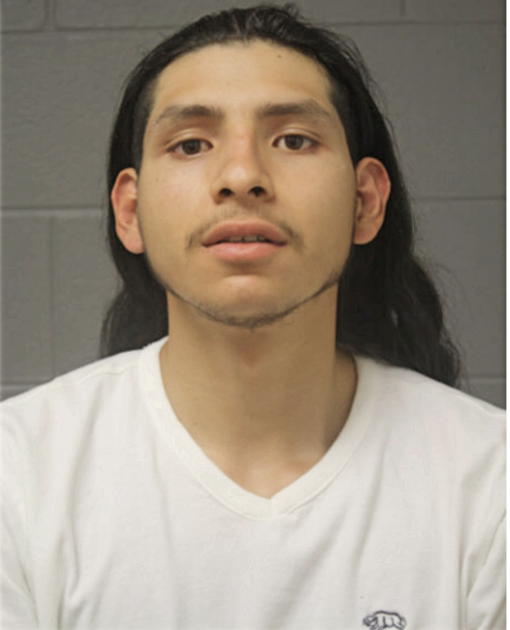 CRISTOFER FLORES, Cook County, Illinois
