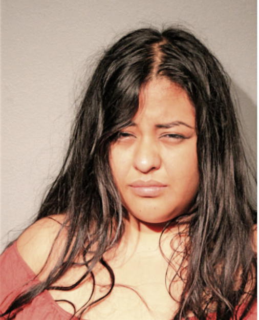 YECENIA FLORES, Cook County, Illinois