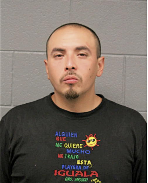 JOSE P GARCIA, Cook County, Illinois