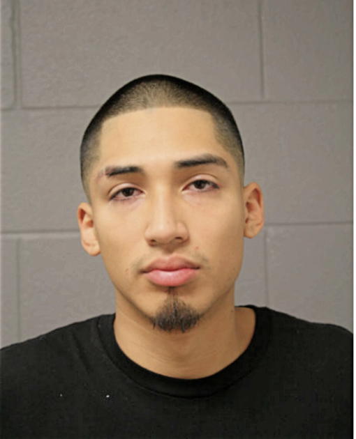 JORGE A GOMEZ, Cook County, Illinois